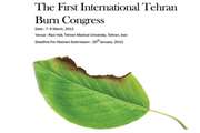 The First International Tehran Burn Congress